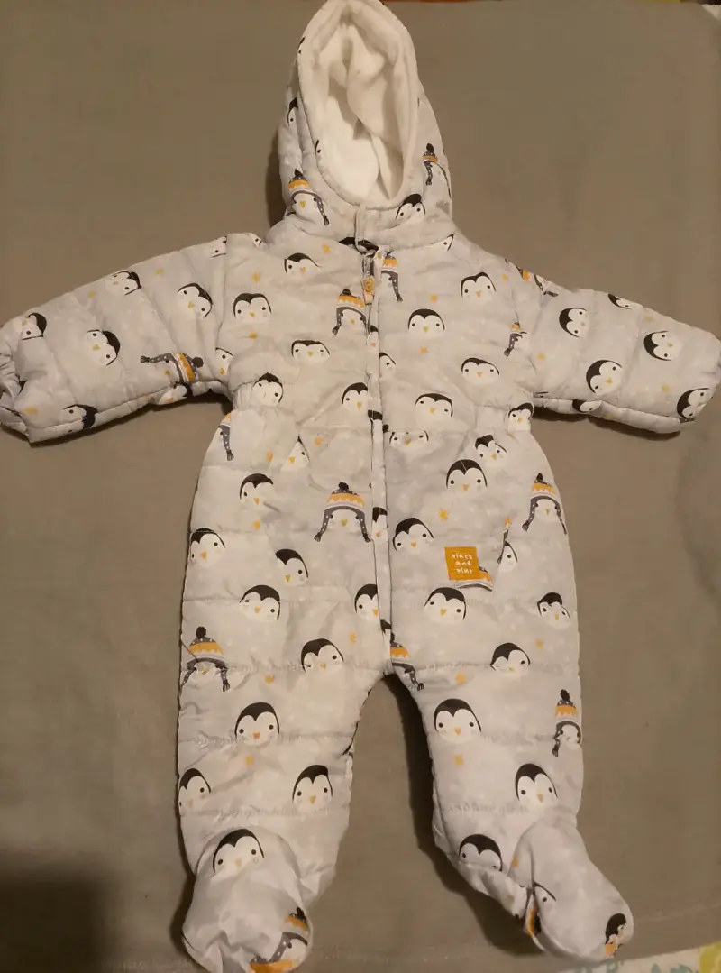 Enterito polar pingüinos bebé
