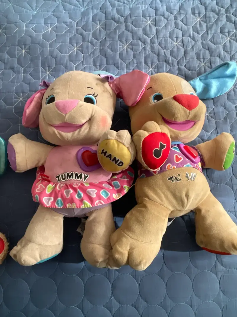 Peluches interactivos educativos - 3