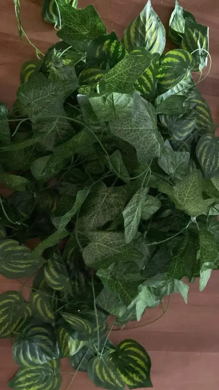 Hojas decorativas 12metros