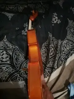 Violín con estuche rígido - 2