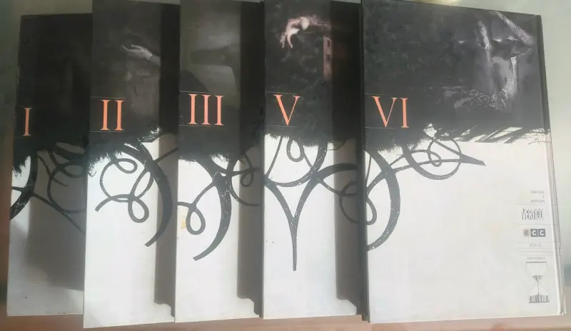 Colección de libros Sandman - 2