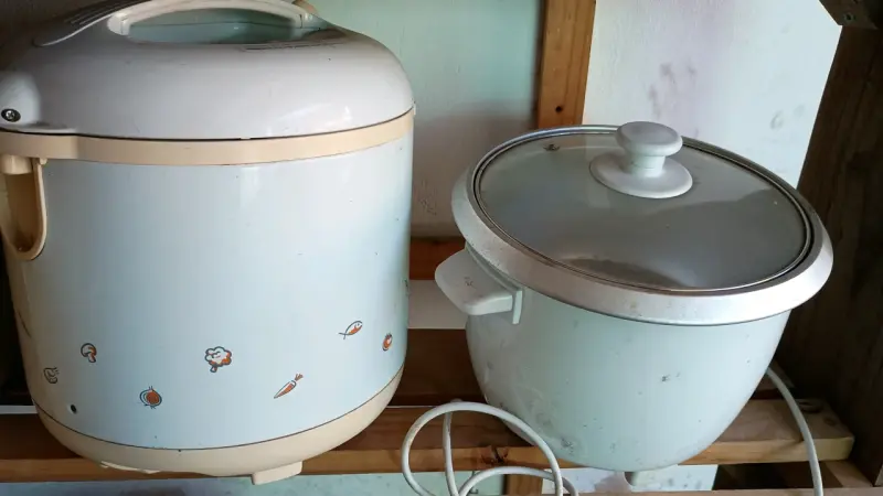 Olla arrocera y vaporera eléctrica - 1