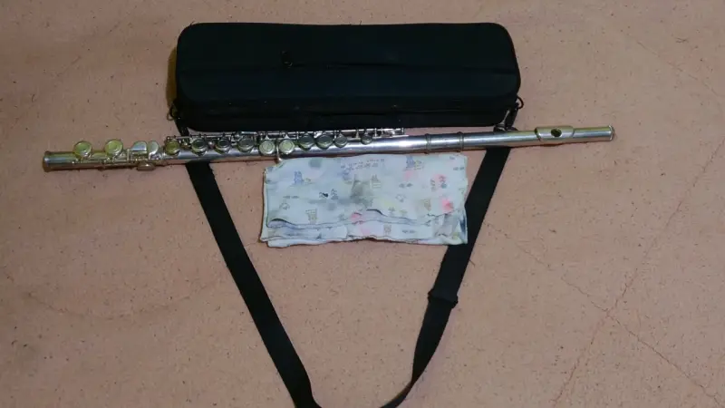 Flauta transversal con estuche - 1