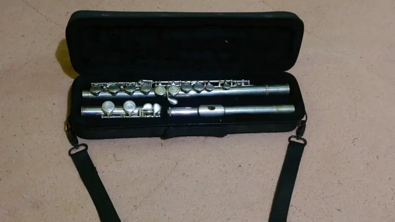 Flauta transversal con estuche - 6