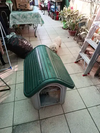 Casita para mascotas Pet Fun - miniatura 4