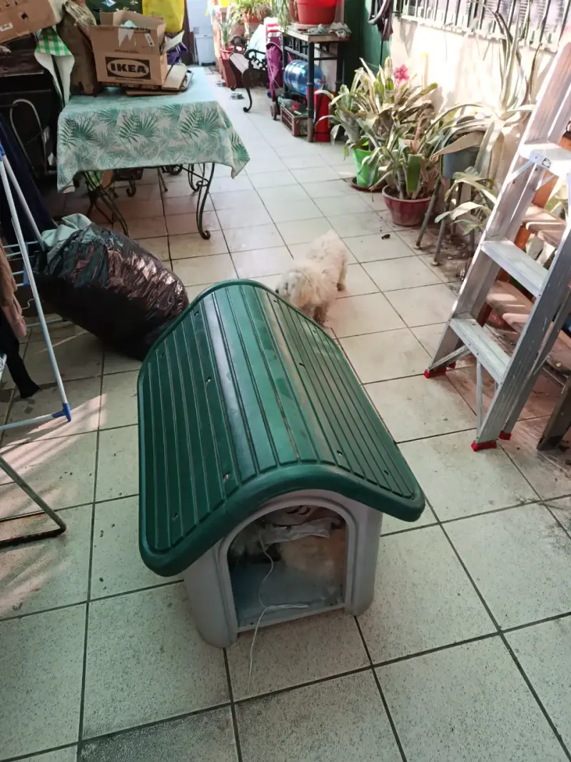 Casita para mascotas Pet Fun - 5