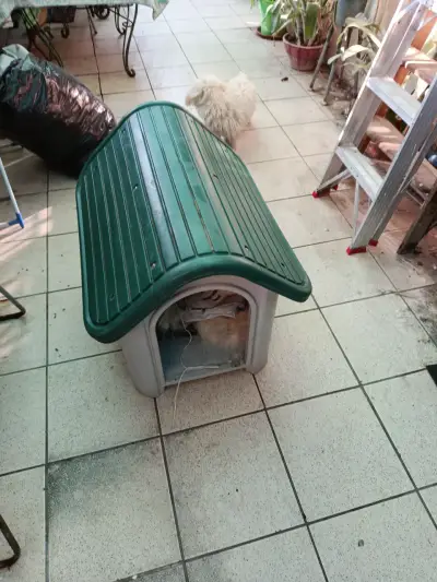 Casita para mascotas Pet Fun - miniatura 6