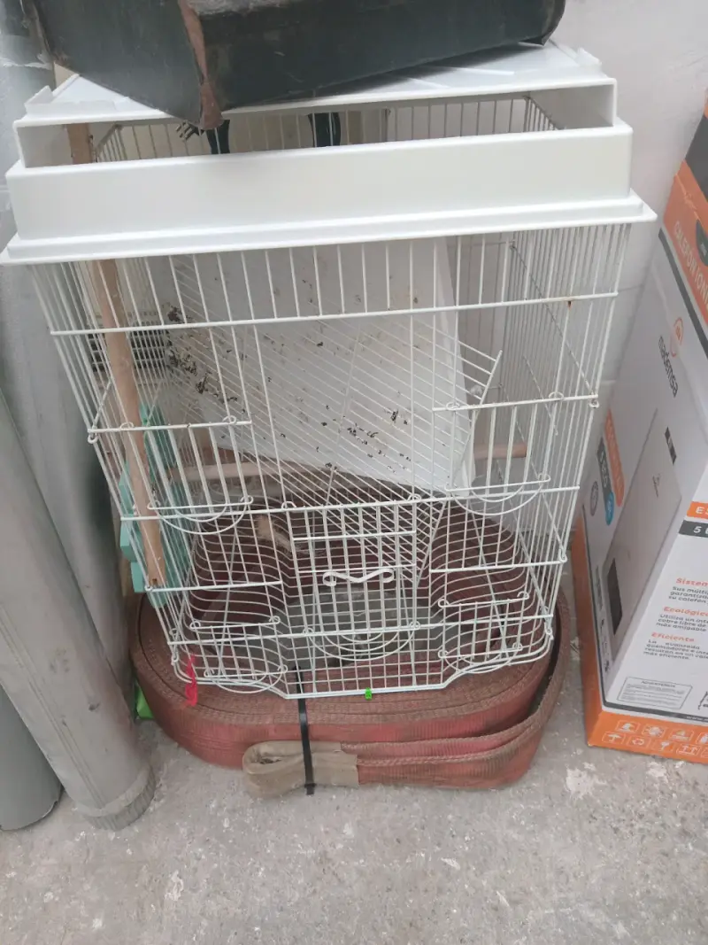 Refrigerador con congelador superior - 8