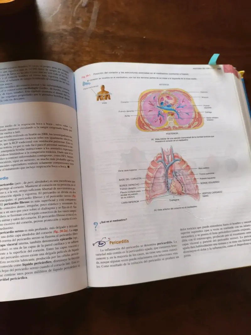 Libro Principios de Anatomía y Fisiología - 2