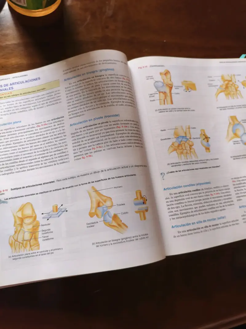 Libro Principios de Anatomía y Fisiología - 4