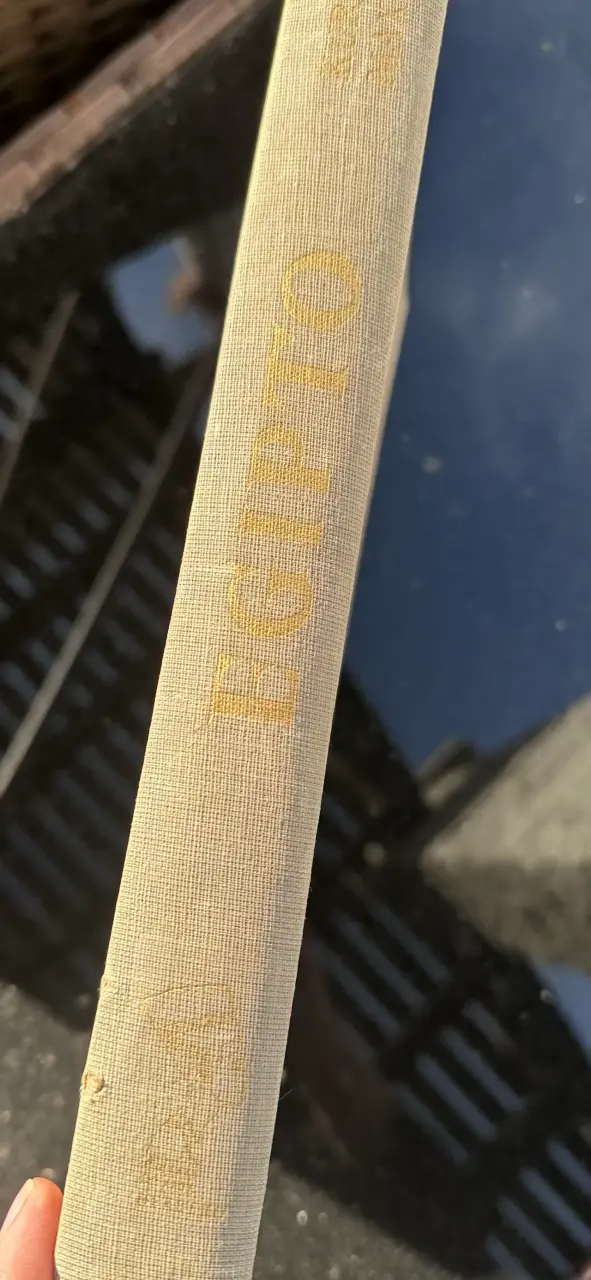 Libro antiguo sobre Egipto - 1