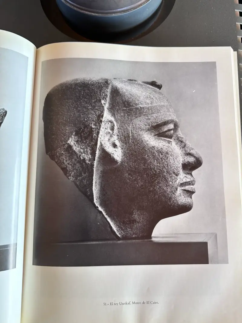 Libro antiguo sobre Egipto - 3