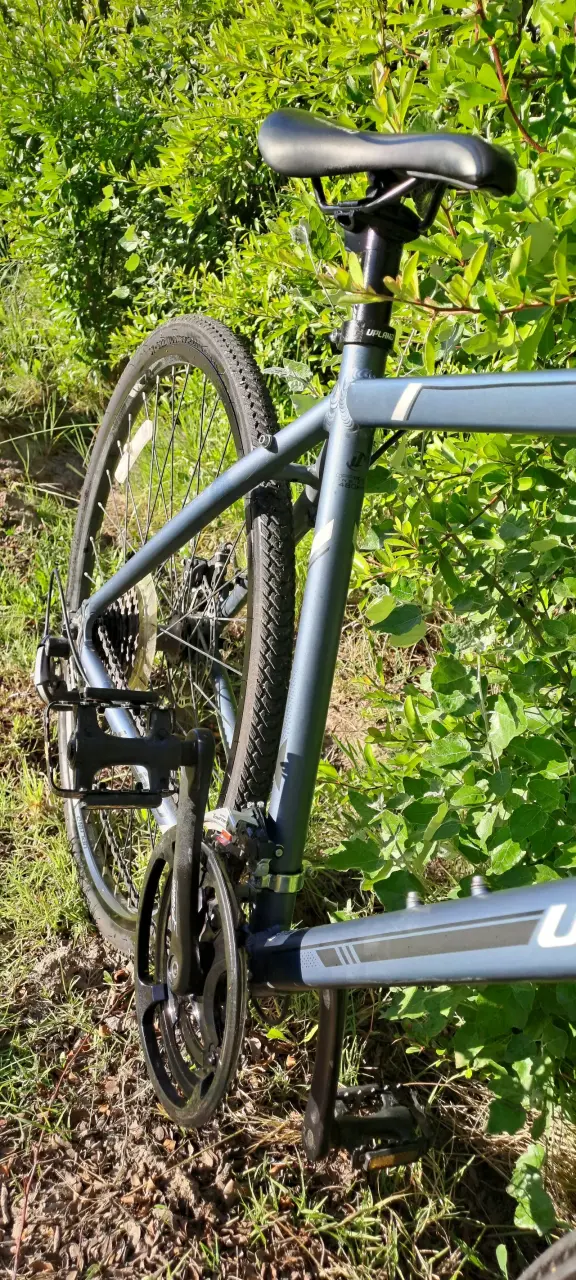 Bicicleta urbana gris metalizada Upland - 2