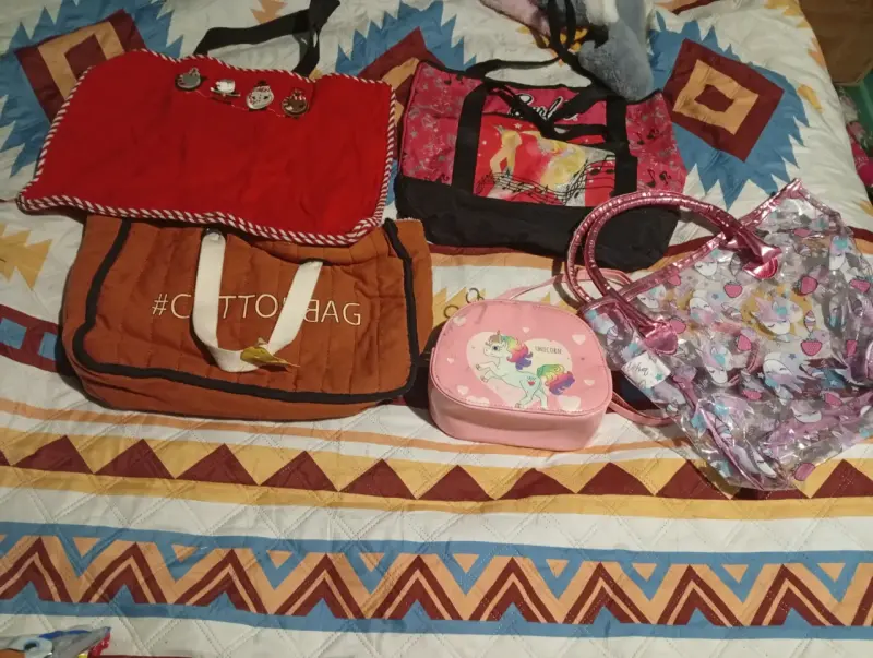 Set de bolsos variados