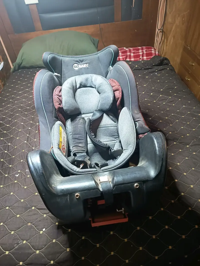 Silla de auto Go Baby gris - 2