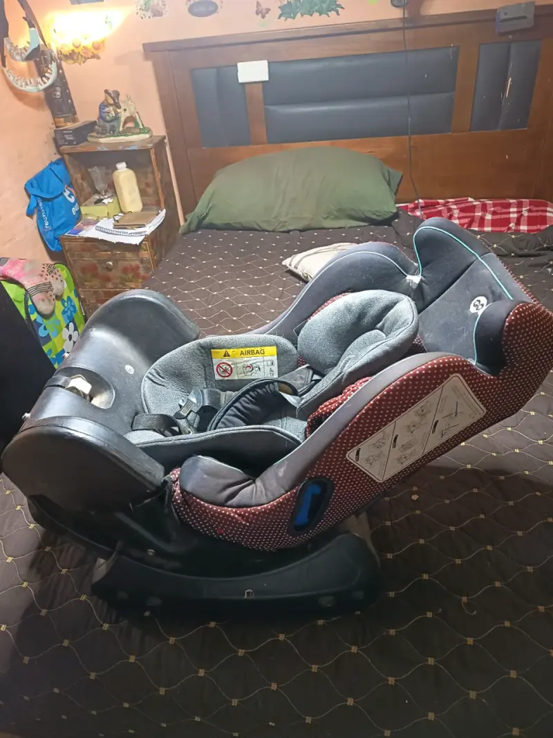 Silla de auto Go Baby gris - 3