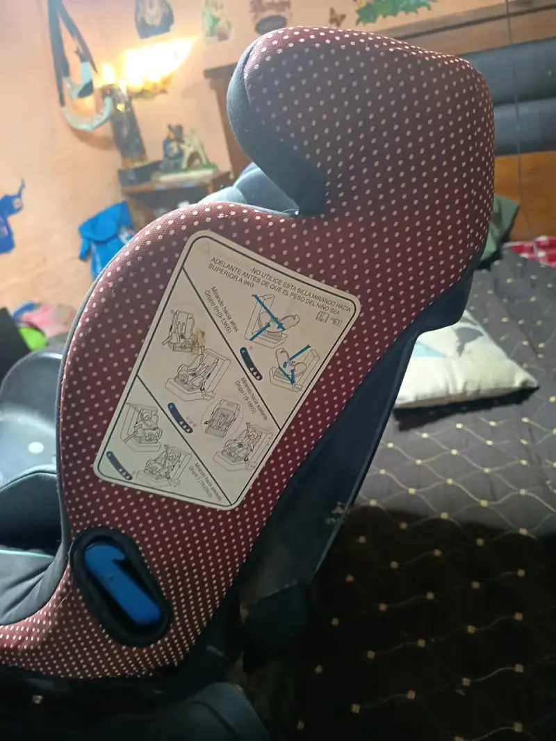 Silla de auto Go Baby gris - 4