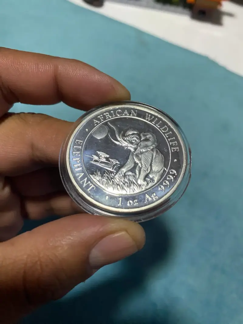Moneda Somalia 100 Shillings 2016 - 2