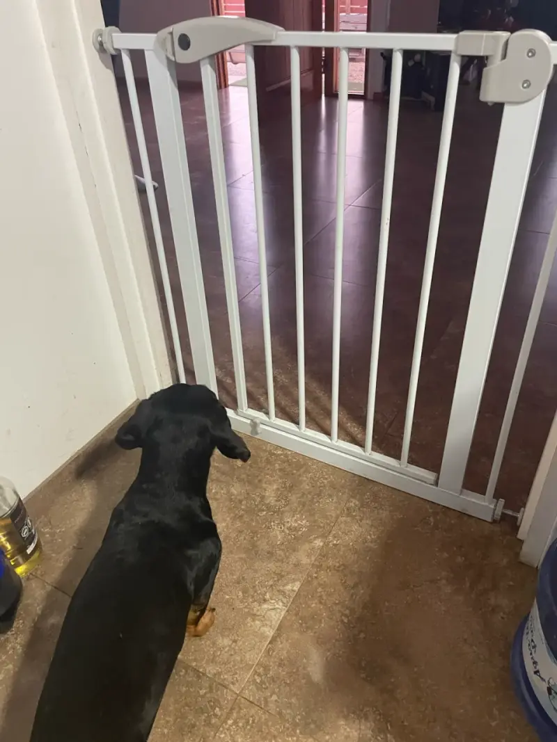 Reja de seguridad para puertas - 3