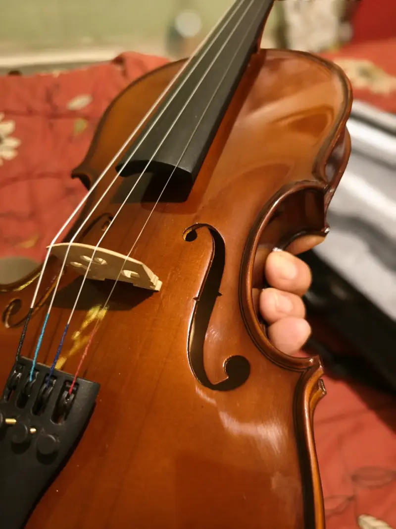Viola Alemana - 4