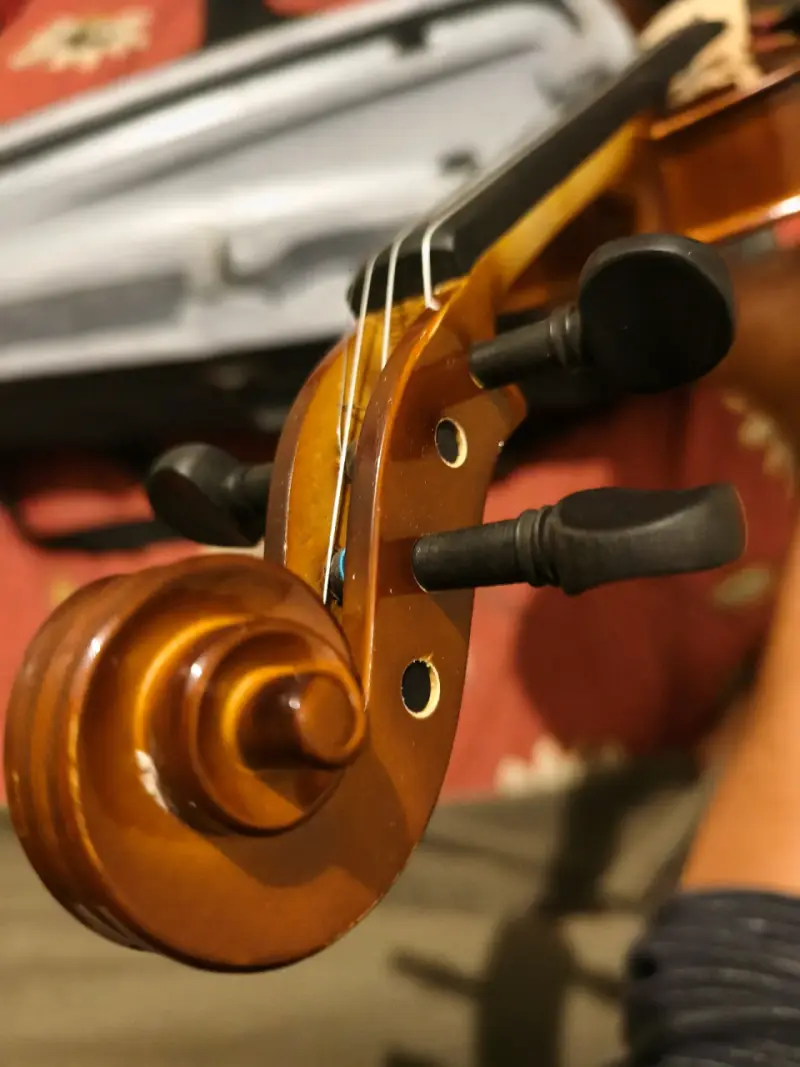 Viola Alemana - 5