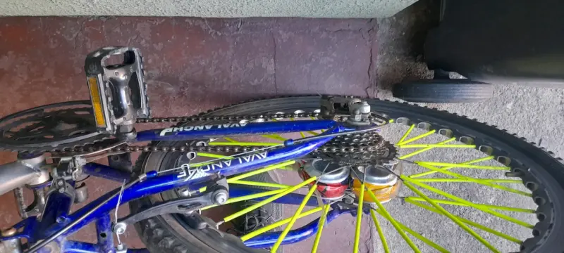 Bicicleta montaña Avalanche Explorer - 4