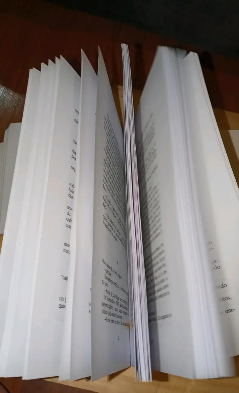 Libro 'El Socio' de Jenaro Prieto - 2