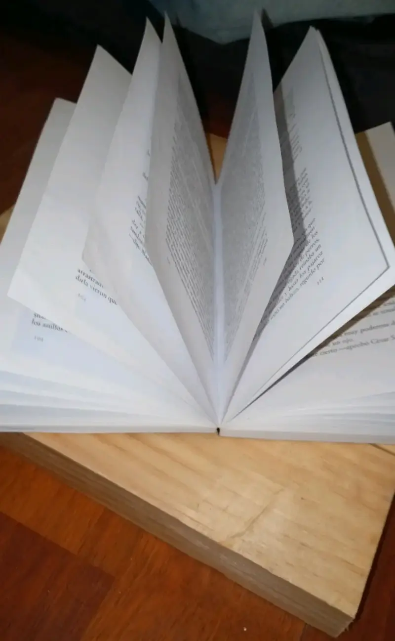Libro 'El Socio' de Jenaro Prieto - 3