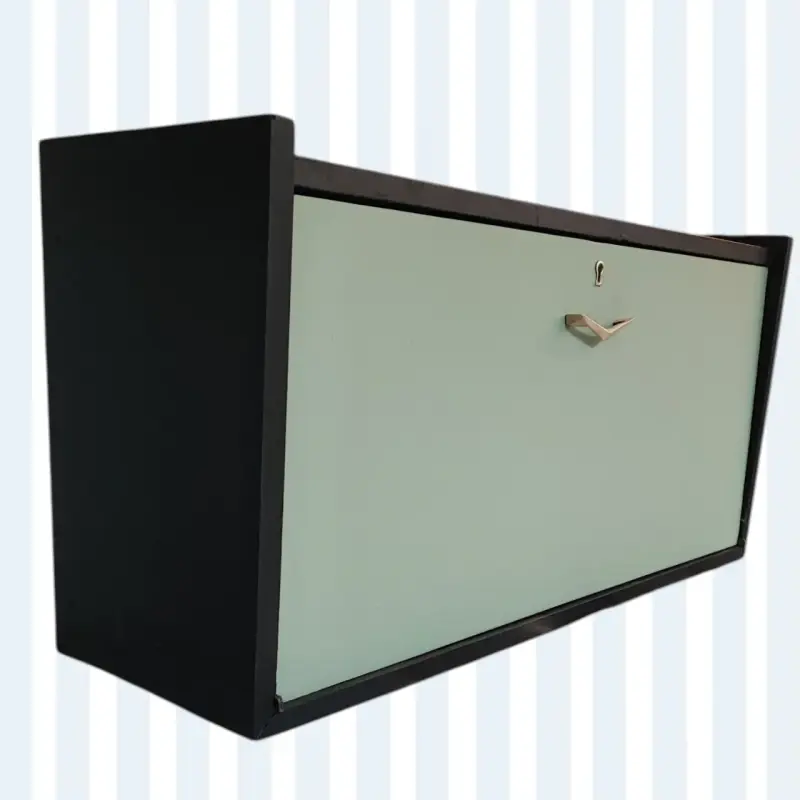 Mueble colgante moderno negro y verde vintage. - 1