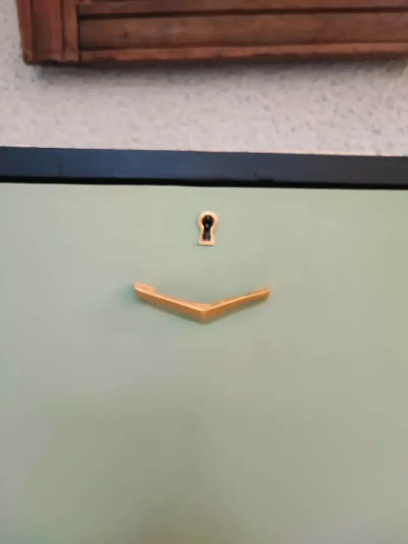 Mueble colgante moderno negro y verde vintage. - 4
