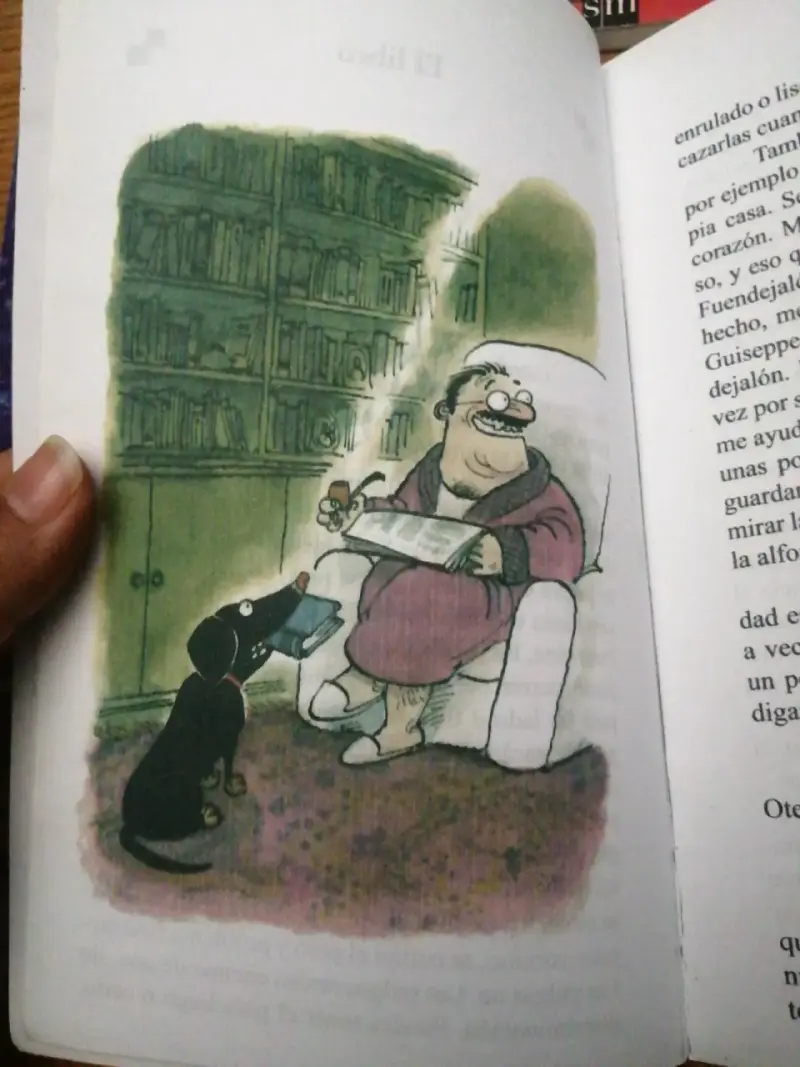 Lote de libros infantiles variados - 3