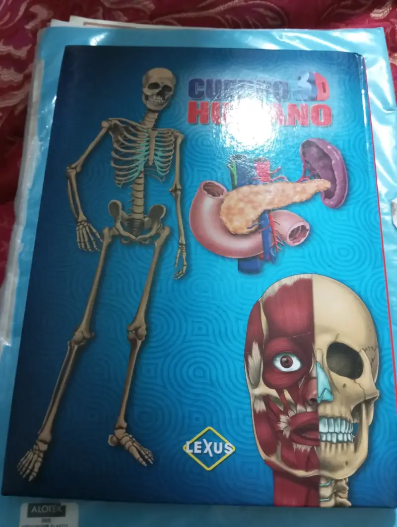 Libro El Cuerpo Humano en 3D - Editorial Lexus (Im - 2