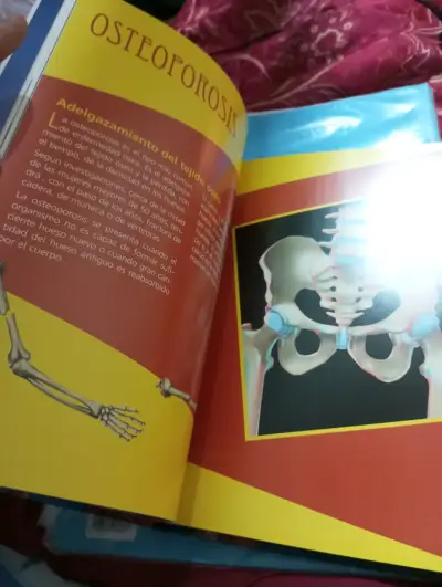 Libro El Cuerpo Humano en 3D - Editorial Lexus (Im - miniatura 4