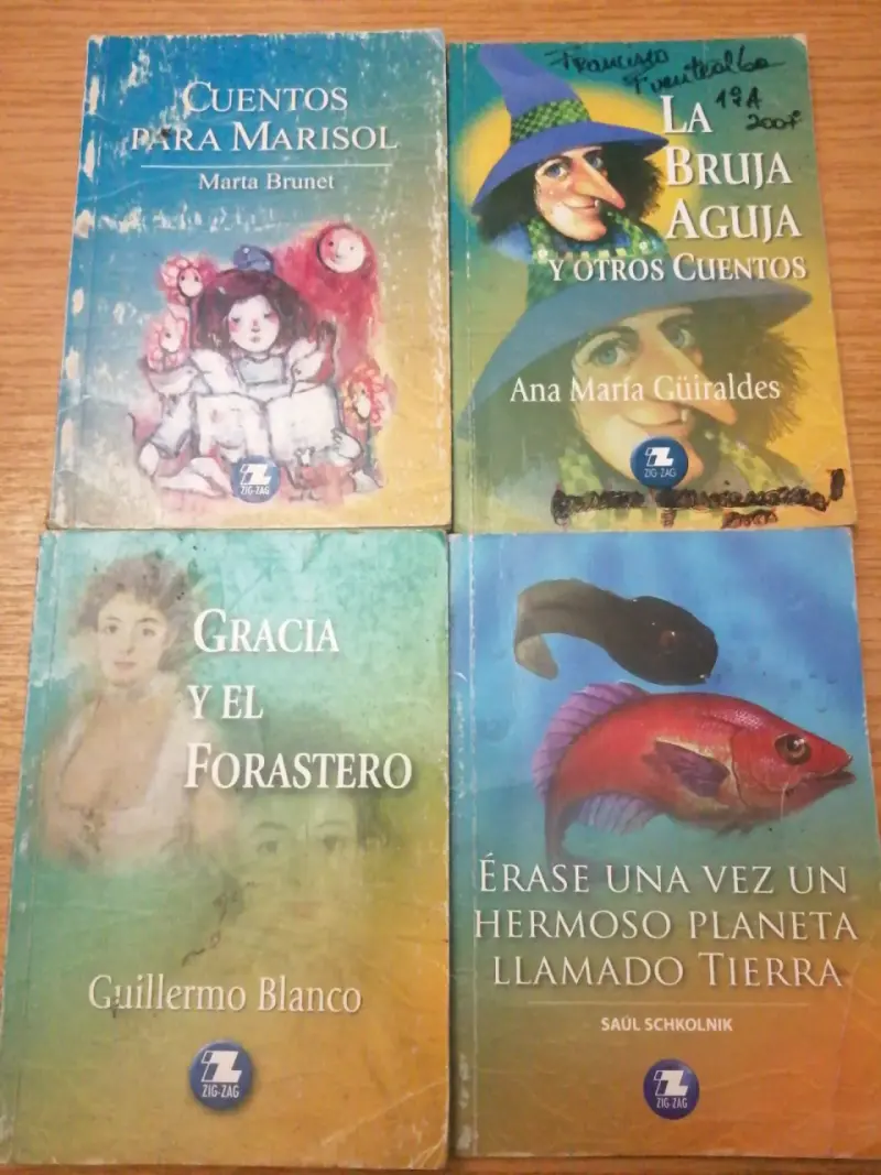 Lote de libros infantiles