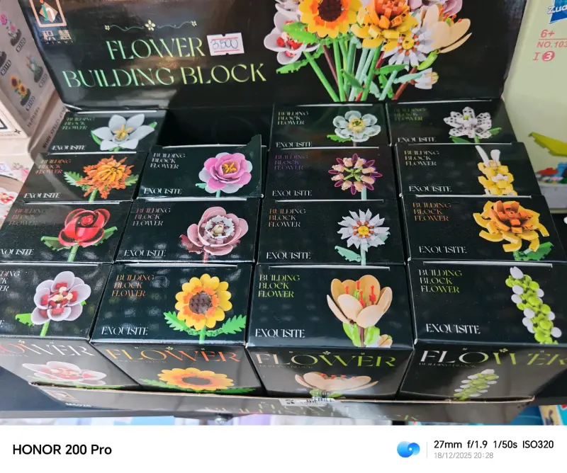 Bloques de construcción de flores - 2