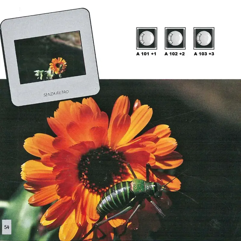 SET FILTROS COKIN SERIE A VINTAGE ORIGINALES - 5