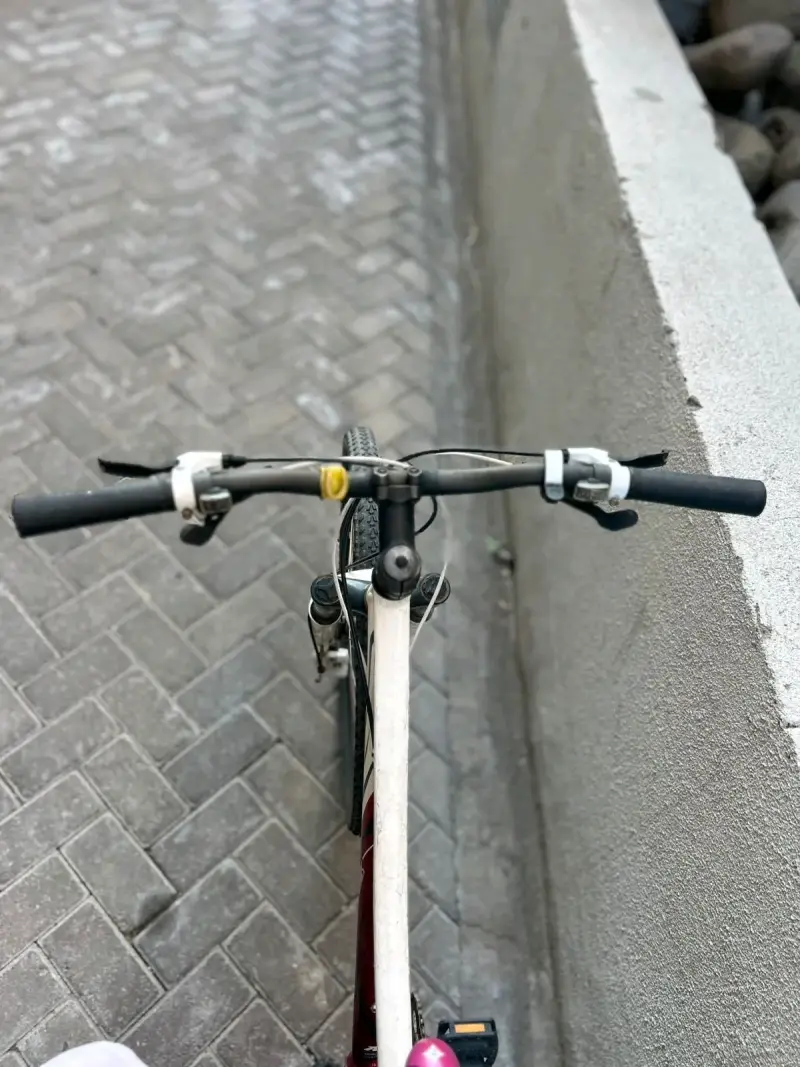 Bicicleta montaña Specialized roja - 2