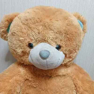 Ositos de peluche grandes - miniatura 5