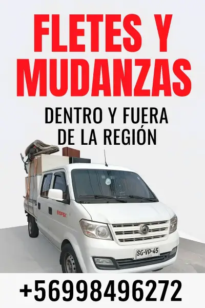 Fletes y mudanzas - miniatura 2
