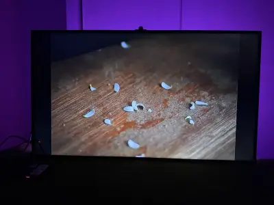 Televisor pantalla ( Smart tv) plana 50 pulgadas - miniatura 2