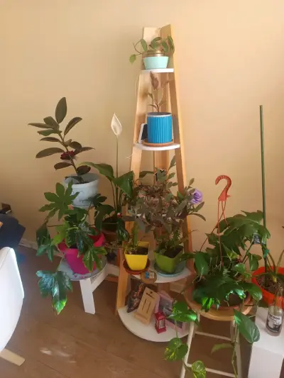 Vendo - miniatura 4