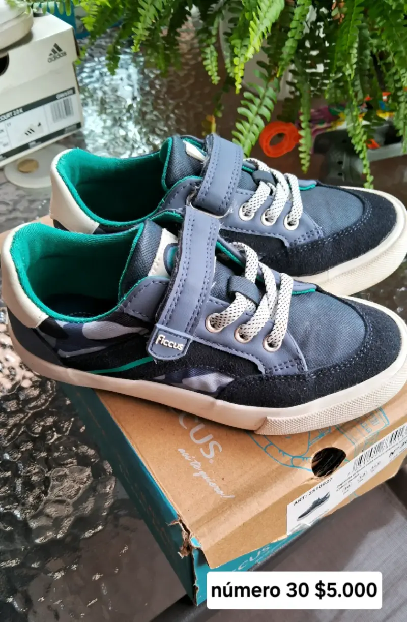 Zapatillas Ficus azul y verde n° 30
