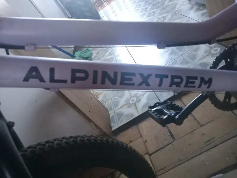 Bicicleta infantil Alpina rosada - 2