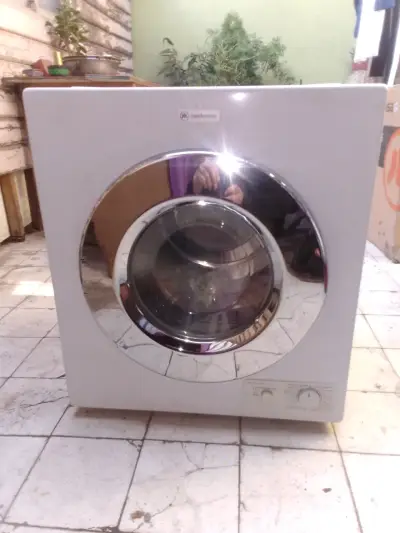 Secadora eléctrica con puerta fronta mademsa l - miniatura 1