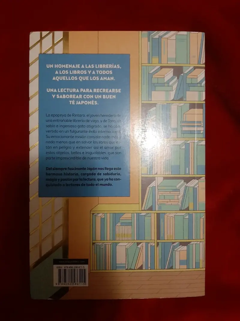 Libro 'El gato que amaba los libros' - 3