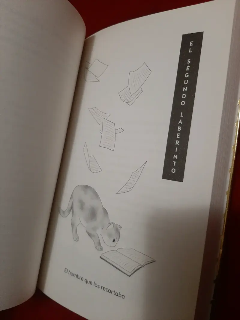 Libro 'El gato que amaba los libros' - 4