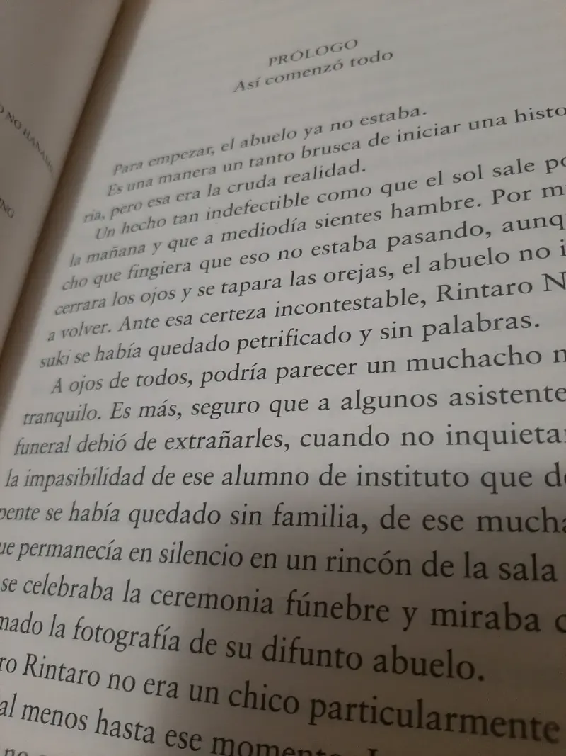 Libro 'El gato que amaba los libros' - 5