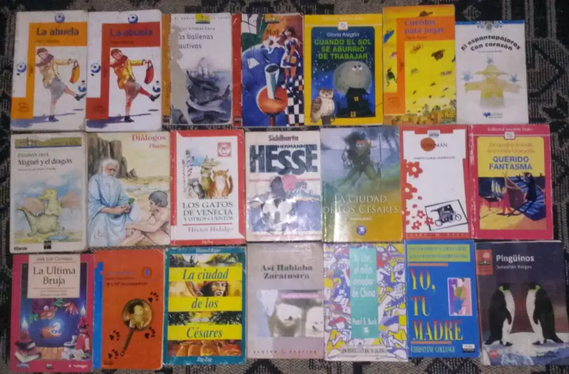 Colección de libros variados - 3