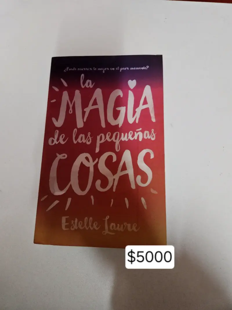 Libro 'La magia de las pequeñas cosas'