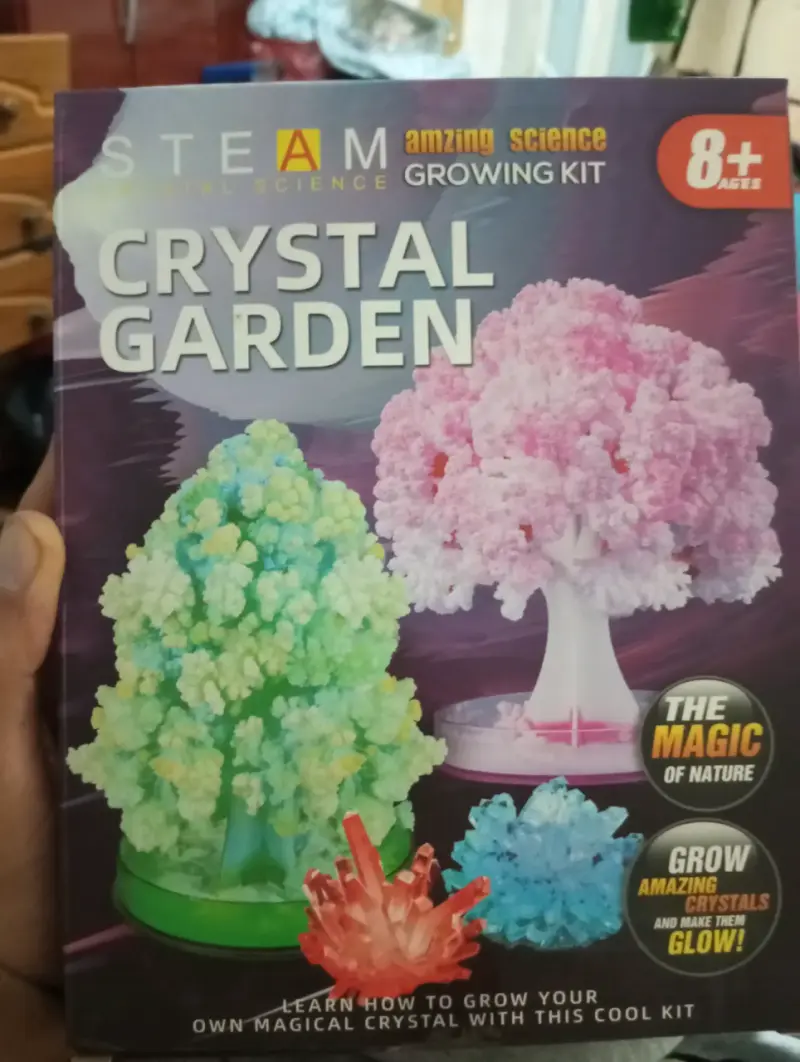 Kit Científico Jardín de Cristales (STEAM Ansaldo) - 1